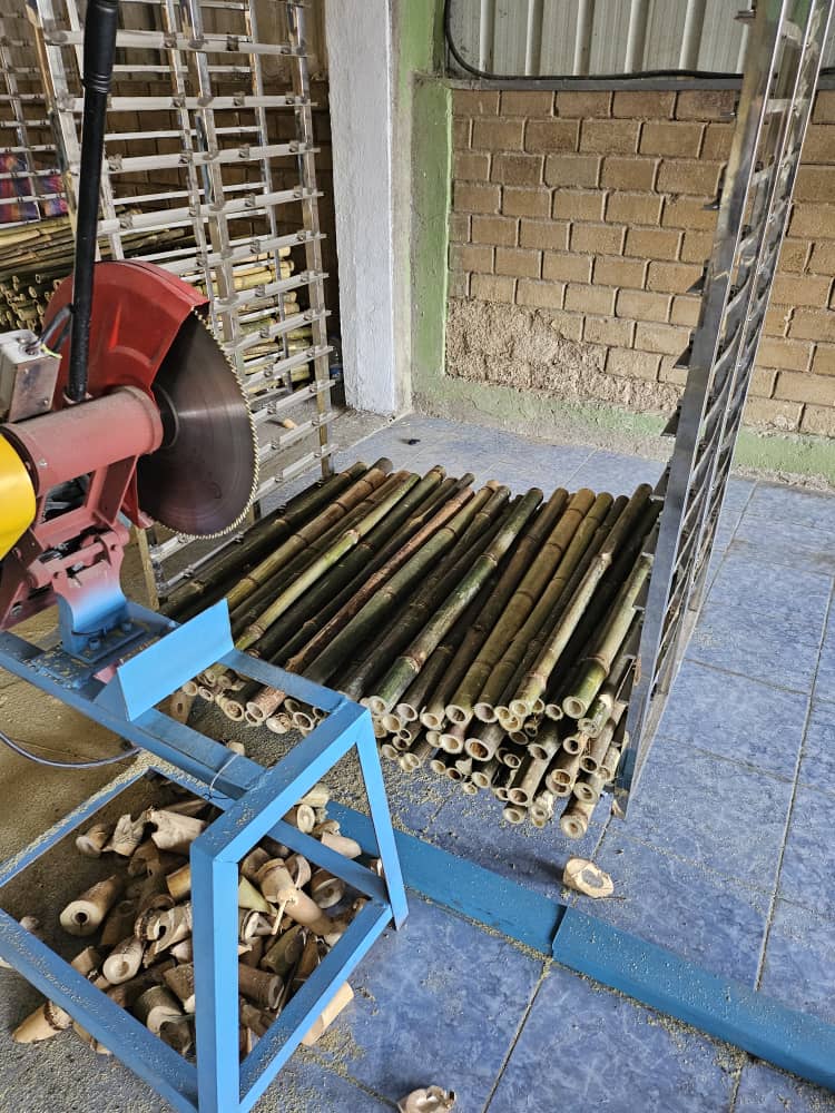 Modjo Bamboo - facility